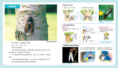 插图