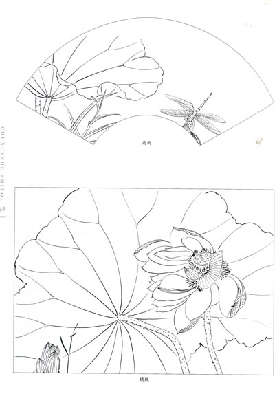 初学者之友—白描全6册(白描百花荷花牡丹草虫仕女禽鸟)