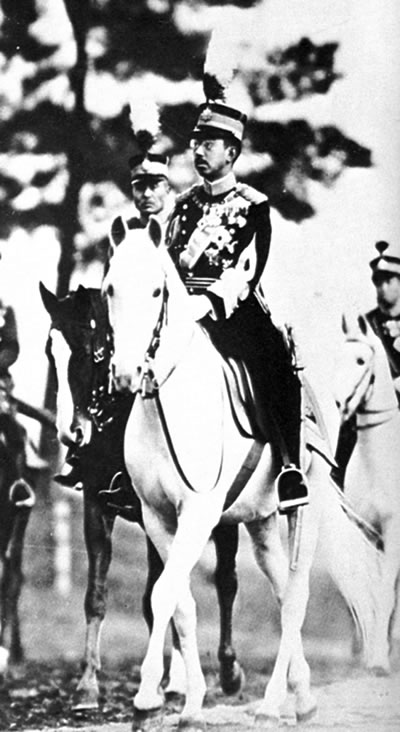 【rt5】裕仁天皇传(国内一部关于裕仁天皇的翔实传记) 程永明 天津