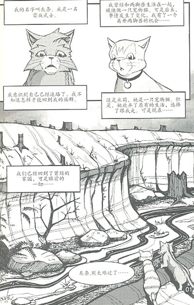 【少儿书籍批发】猫武士漫画之3武士回归 儿童图书 正版 畅销书