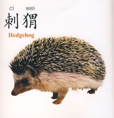 看图识字,会说话,小朋友最喜欢