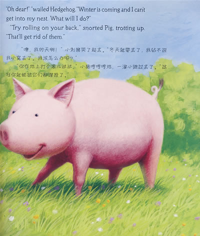 插图
