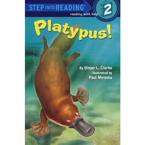 (鸭嘴怪)platypus!