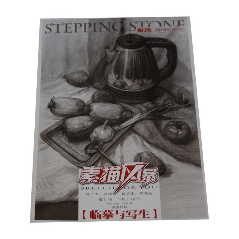 素描风暴——素描静物 临摹与写生