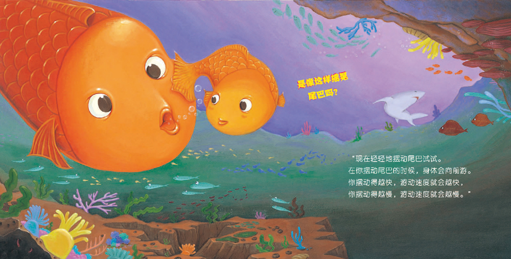 童书 绘本/图画书 平装图画书 日韩 小鱼快跑