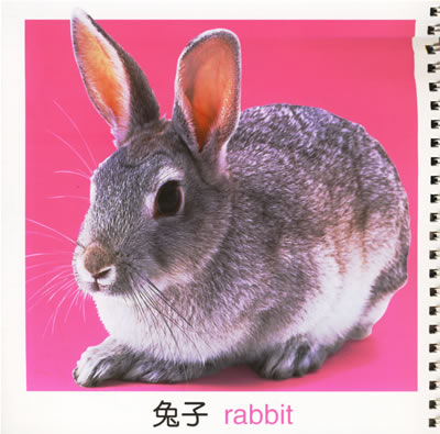 小动物(基础版) 编辑推荐 "超级宝宝膝盖书"是一套幼儿学习宝典,一套