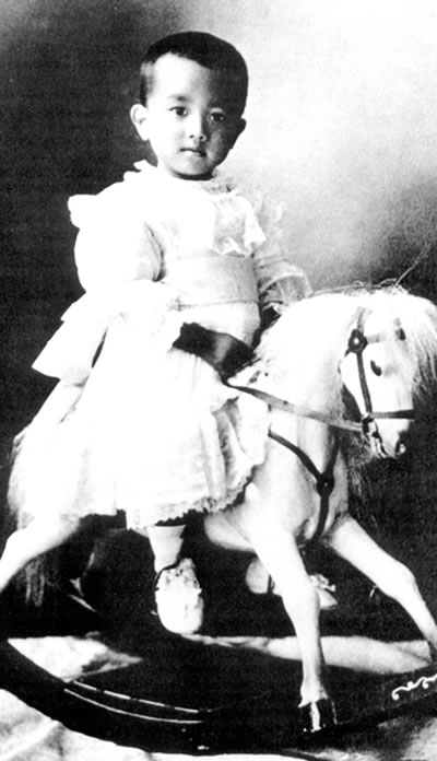 裕仁天皇传(国内唯一一部关于裕仁天皇的翔实传记)