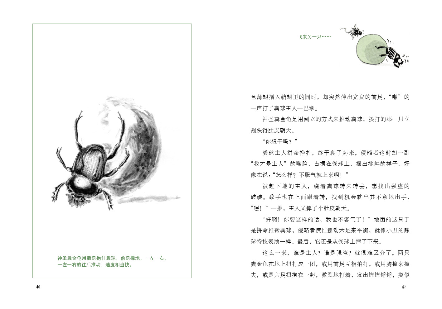 bookdesign |《昆虫记》全十册|平面|书籍/画册|介桑_原创作品-站酷ZCOOL