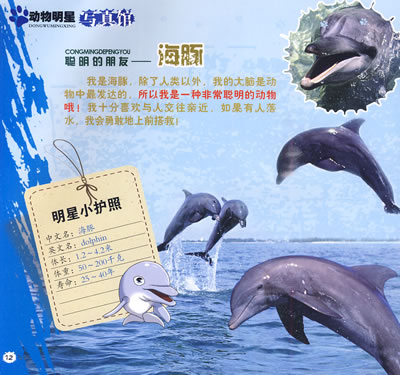 动物明星写真馆海底的精灵